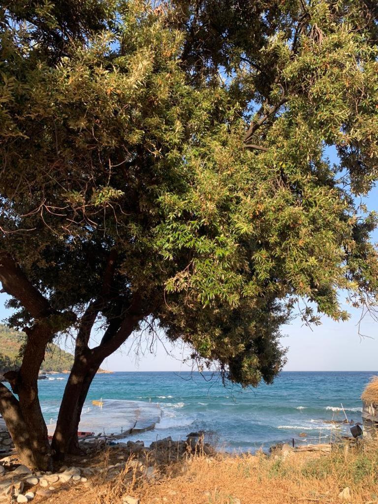 King Studios Koinira Dış mekan fotoğraf