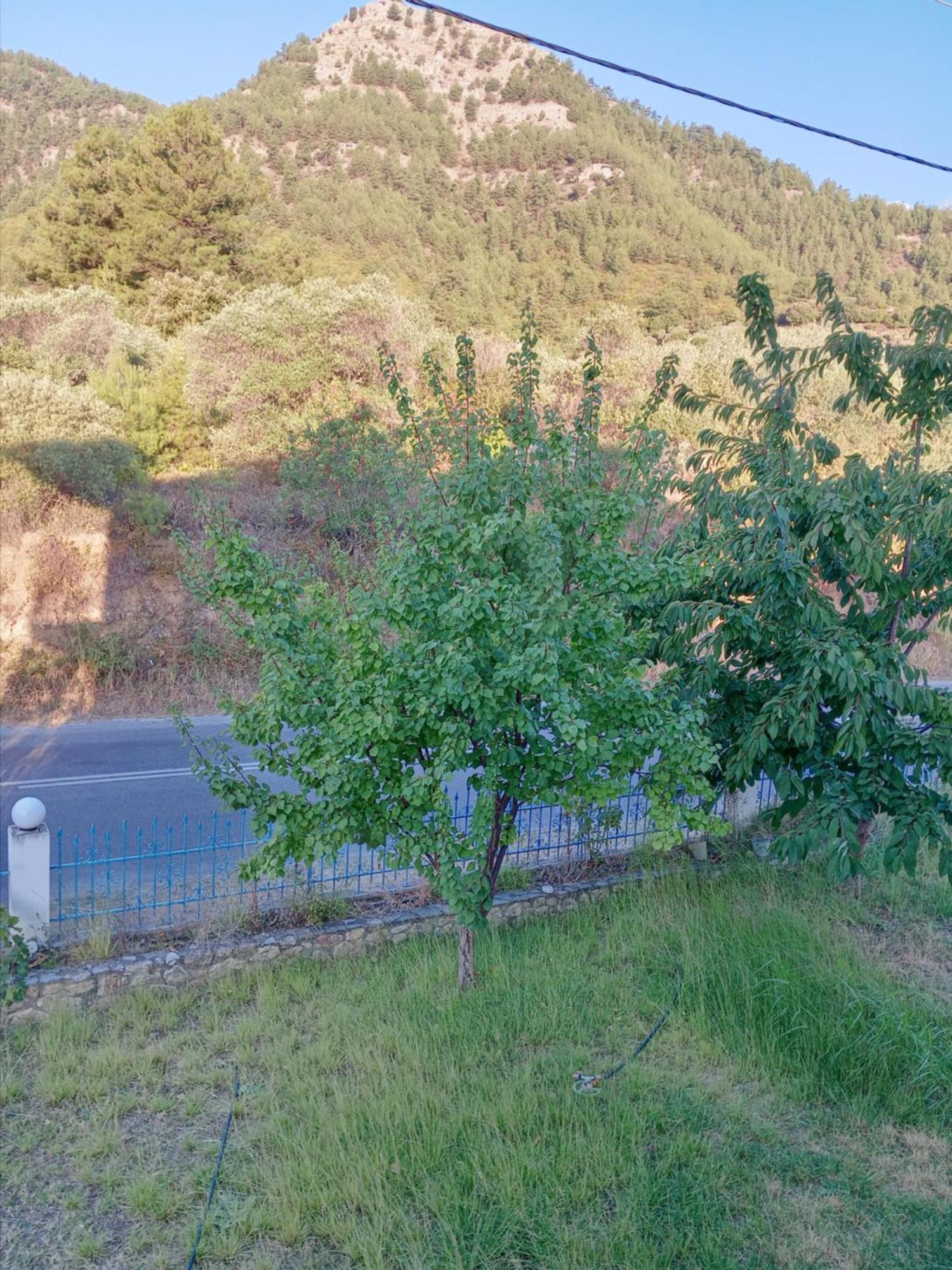 King Studios Koinira Dış mekan fotoğraf