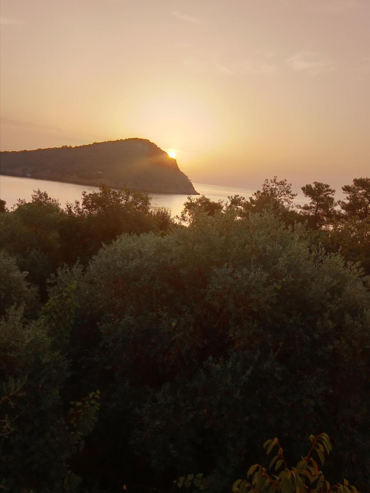 King Studios Koinira Dış mekan fotoğraf